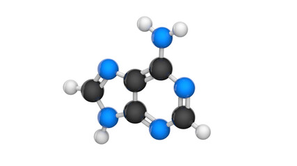 Molecular structure of Vitamin B4 (Adenine). 3D illustration. Chemical structure model: Ball and Stick. White background.