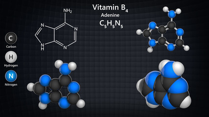 Molecular structure of Vitamin B4 (Adenine). 3D illustration. Chemical structure model: Ball and Stick + Balls + Space-Filling.