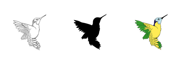 Set of three hummingbirds in different style.