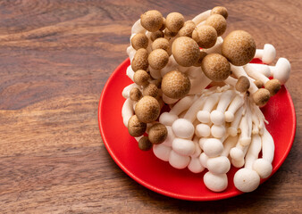 Shimeji edible mushrooms native to East Asia, buna-shimeji is widely cultivated and rich in umami tasting compounds