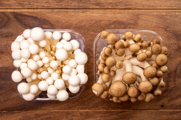 Shimeji edible mushrooms native to East Asia, buna-shimeji is widely cultivated and rich in umami tasting compounds