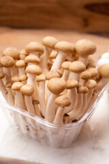 Shimeji edible mushrooms native to East Asia, buna-shimeji is widely cultivated and rich in umami tasting compounds