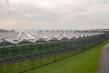 View on a greenhouse in gemeente Het Westland in the Netherlands