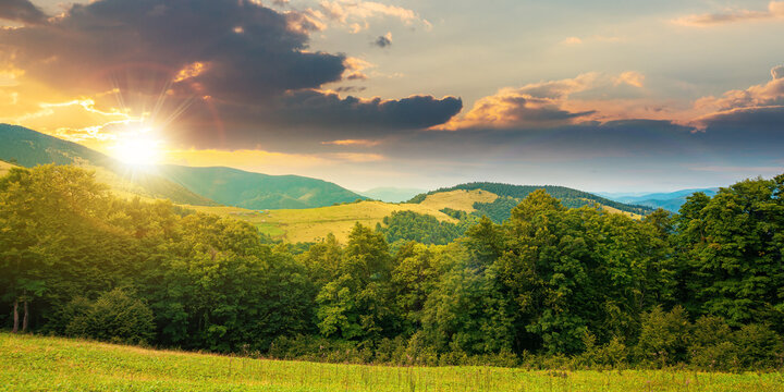 summer landscape of carpathian mountains at sunset. beautiful scenery in evening light. beech forest and grassy alpine meadows on the hills. clouds on the dramatic sky