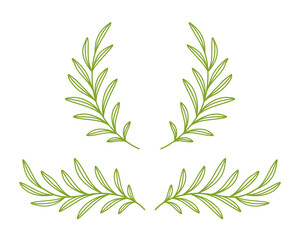 green olive and laurel branches, wreath, divider