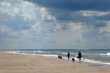 Strandwanderer mit Hund am  Strand bei Lökken