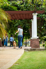 Obraz premium Asian mother child and girl walking together with Shiba inu dog in public park back view. Happy famiy with pet