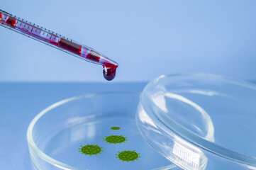 Medical laboratory. The virus-infected blood from the pipette is poured into a Petri dish on a blue...