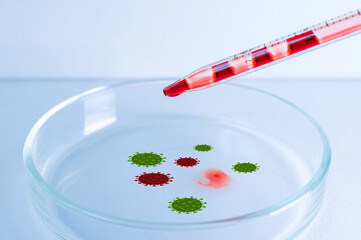 Medical laboratory. The virus-infected blood from the pipette is poured into a Petri dish on a blue...