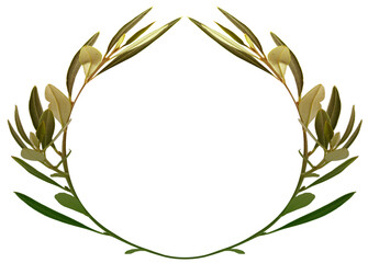 Couronne d’olivier, fond blanc 