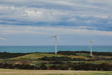 Australian landscape featuring row of wind turbines along the coast line at Cape Nelson, Portland Victoria Australia
