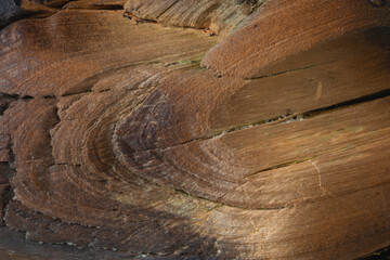 Close up beautiful dirty wooden background. Space for design and text.