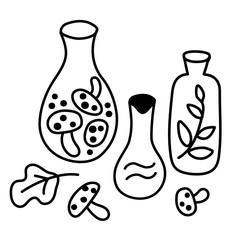 Halloween-themed doodling. Fairy bottles, flasks with mushrooms, herbs, potions. Vector set of magic witch jars. Black lines isolated on a white. For cards, textile, background, goods, design.