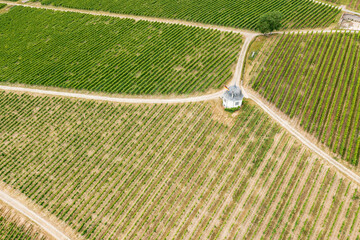 Looking from a bird's eye view of a shelter in the vineyards of the Rheingau / Germany 