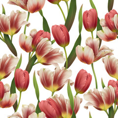 Seamless pattern of realistic  tulips and green leaves on white background