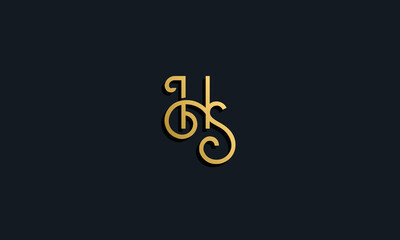 Luxury fashion initial letter HS logo.