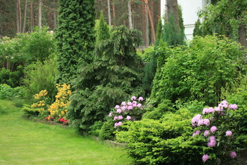 garden with flowers
