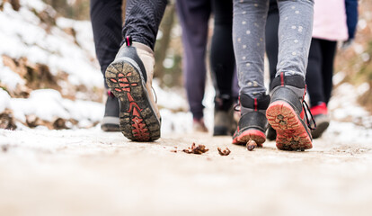 Children hiking in snow mountains forest on family trip.