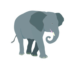 Wild animal African elephant with large ears and trunk. white background vector illustration