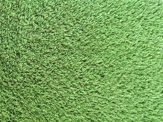 green grass texture