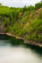 Greenery scene of foliage at quiet lake.