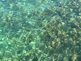 deep sea transparent water emerald green turquoise watercolor background.