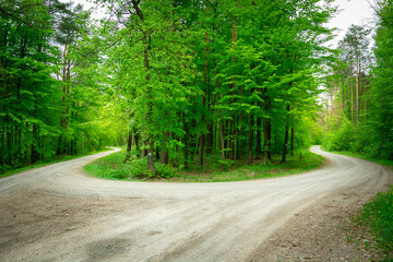 Obraz premium A sharp turn in a green forest, an island with trees