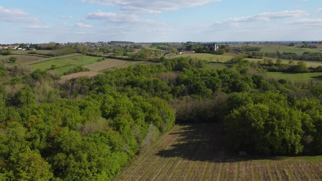 Aerial view of vineyard in spring, Bordeaux Vineyard, Gironde, France, High quality 4k footage