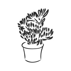 Pot plants set, vector illustration flowers in pots drawn black line on a white background, hand-drawn design elements.