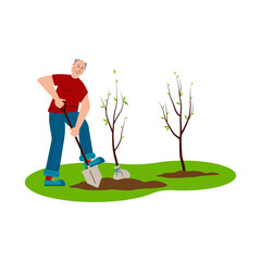 Seniors plant young trees. A man is digging the ground. Elderly people care, active lifestyle. Flat style Vector Illustration.