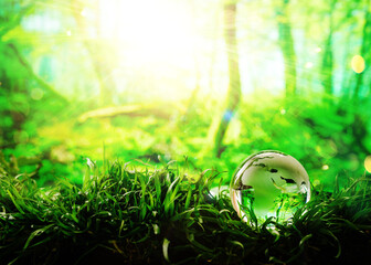Save Environment  and  Earth Day Concept. Globe glass on green forest with  sunlight