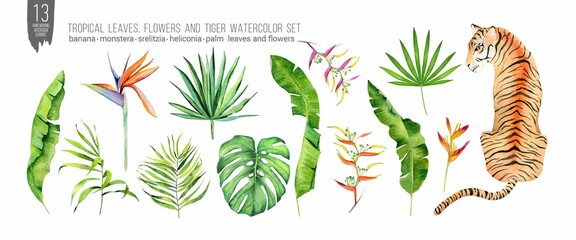 Watercolor tiger, tropical leaves and flowers set. Colorfull set for design textile, wallpapers, prints and banners.	