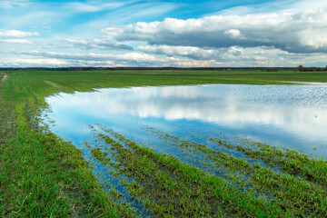 Puddle on the green field and reflection of clouds in the water