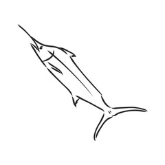 Hand drawn swordfish. Vector illustration in sketch style