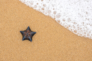Fototapeta na wymiar Starfish on a beach sand with clear blue sea. Copyspace. Background. Summer vacation concept. 