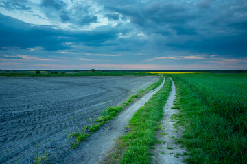 Fototapeta na wymiar Rural road through the fields in eastern Poland