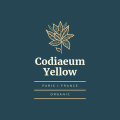 Abstract  Tropical Logo Flowers Vector Signs or Logo Templates. Retro Floral Illustration with Classy Typography. Feminine Logo. Modern Logo Template for florist, fashion blogger, design studio.