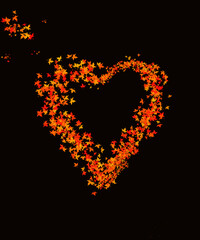 Fototapeta na wymiar Black background. yellow leaves on a black background. heart made of leaves. romance. love