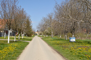 spring in Backi Petrovac, Vojvodina