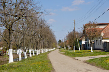 Naklejka premium spring in Backi Petrovac, Vojvodina