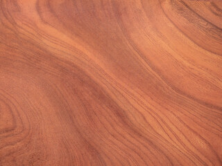 texture of wood background
