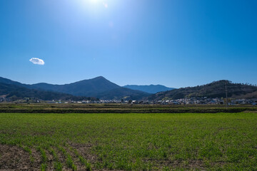 Fototapeta premium 塩田の風景