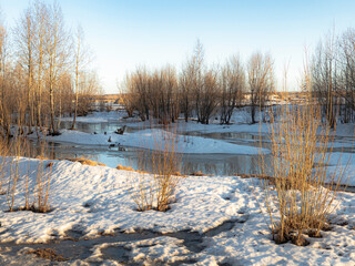 Spring melting snow created a lot of water in the forest and meadows