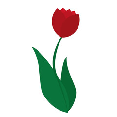 Isolated tulip flower icon flat design vector image