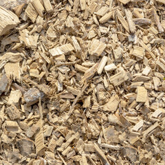 wood shavings texture close-up background