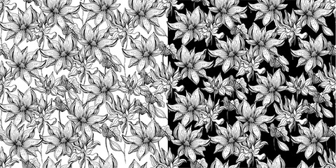 Flowers. Seamless vector pattern of tropical flowers and leaves. Trendy vector image. Coloring. Antistress. 