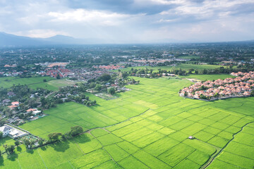 Fototapeta na wymiar Land plot in aerial view. Include landscape, real estate, green field, crop, agricultural plant. Tract of land for housing subdivision, development, owned, sale, rent, buy or investment in Chiang Mai.