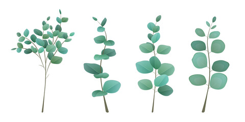 Eucalyptus leaves in set of 4 branches. Eucalyptus silver greenery set, leaves and branches for decoration of greeting cards and invitations.