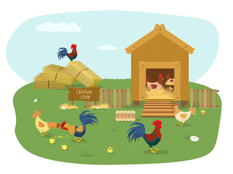 cartoon chickens in coop and farm setting clip art preview
