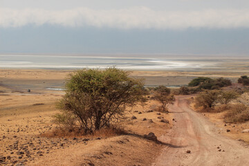 Ngorongoro Krater